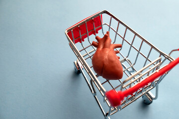 Miniature human heart on a trolley. Replica of human organs.