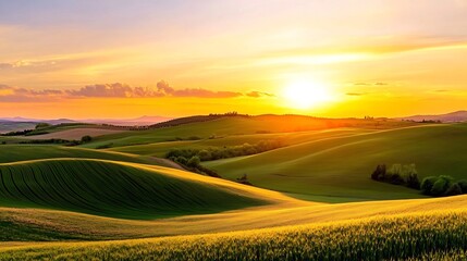 Obraz premium Picturesque Agricultural Fields Under Golden Sunset Landscape