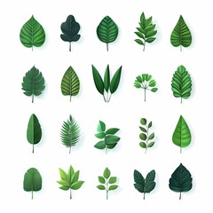 green leaf icons set on white background, vector style