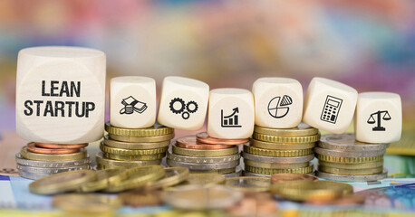 Lean Startup