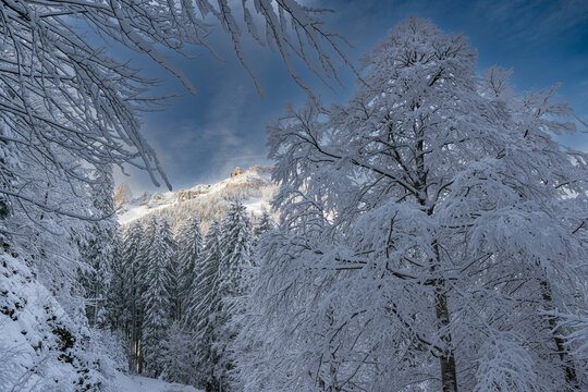 Winterlicher Wald mit tief verschneiten B&auml;umen im Gebirge, Nassfeld, K&auml;rnten, &Ouml;sterreich
