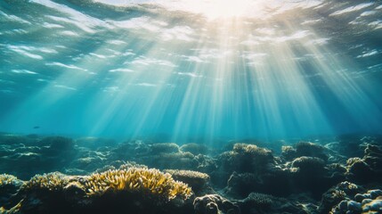 Obraz premium Advocacy for ocean conservation and marine biodiversity, Symbolizing environmental protection, photography style