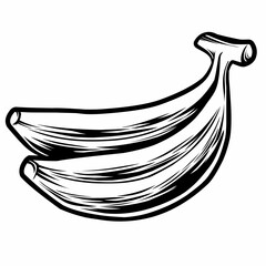 hand drawn vector illustration of a banana