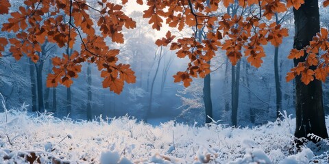 Winter forest with intricate patterns of oak leaves showcasing their beauty against a serene backdrop, highlighting the unique features of oak leaves during the winter season.