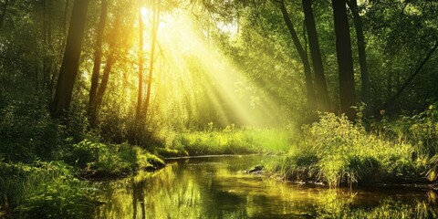 Obraz premium Experiencing nature or witnessing scenes of nature can significantly decrease feelings of anger, fear, and stress, while enhancing positive emotions. Nature has a profound effect on emotional well