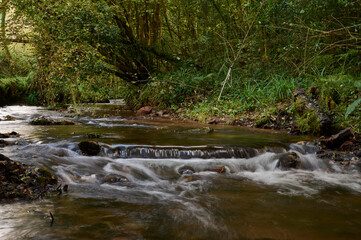 The Los Molinos del R&iacute;o Profundo trail winds along a river surrounded by a magical forest of beech and chestnut trees in Villaviciosa, Asturias, Spain
