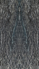 Obraz premium Old oak tree bark. Bark crack texture for background