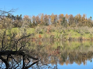 Late autumn atmosphere on the Swiss Katzenseen lakes or Katzensee lakes (Katzen lakes), Regensdorf - Lenzerheide - Canton of Zurich (Z&uuml;rich or Zuerich), Switzerland (Schweiz)
