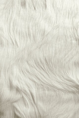 Obraz premium Small pumpkin on a beige background