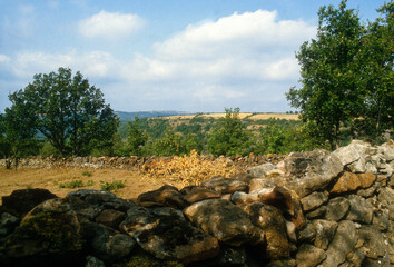 Ferme caussenarde,  mur en pierre sèche, Parc naturel régional des Grands Causses, 12, Aveyron,...