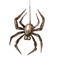 Hand-painted cartoon spider descending on a thread of its web, created in watercolor. Perfect for Halloween designs, children's books, crafts, and playful decorations.