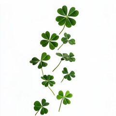 Green clovers floating, isolated on white background,