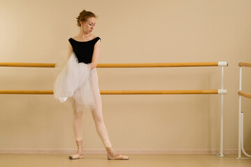 A ballet dancer gracefully poses in dance studio