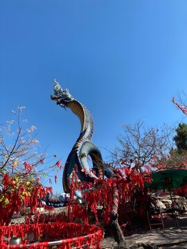 dragon on the roof of temple