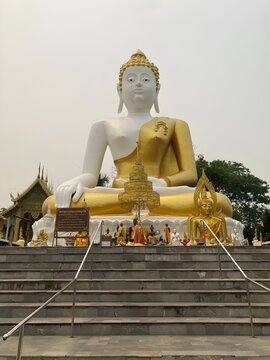 golden buddha statue