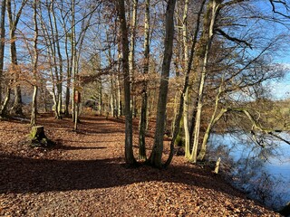 Fototapeta premium Sports and recreation trails around the Swiss Katzenseen lakes or promenade along Lake Katzensee (Katzen Lake), Regensdorf - Canton of Zurich (Zürich or Zuerich), Switzerland (Schweiz)