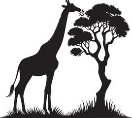 Fototapeta premium Giraffe leaning against a tall tree eating leaves