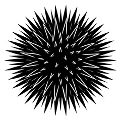Obraz premium black and white fireworks