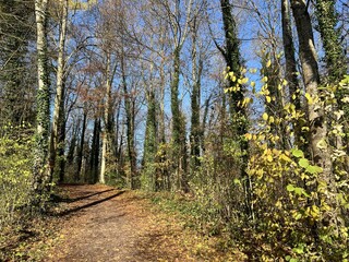 Obraz premium Sports and recreation trails around the Swiss Katzenseen lakes or promenade along Lake Katzensee (Katzen Lake), Regensdorf - Canton of Zurich (Zürich or Zuerich), Switzerland (Schweiz)