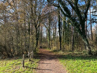 Sports and recreation trails around the Swiss Katzenseen lakes or promenade along Lake Katzensee (Katzen Lake), Regensdorf - Canton of Zurich (Z&uuml;rich or Zuerich), Switzerland (Schweiz)
