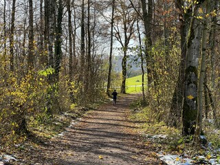 Fototapeta premium Sports and recreation trails around the Swiss Katzenseen lakes or promenade along Lake Katzensee (Katzen Lake), Regensdorf - Canton of Zurich (Zürich or Zuerich), Switzerland (Schweiz)
