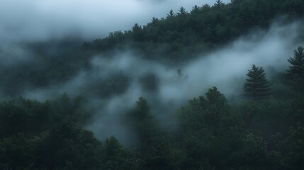 Fototapeta premium A tranquil view of mist rolling over a dense forest hillside, creating a serene and mystical atmosphere in nature. .