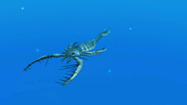 Eurypterids swimming in water