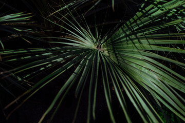 Las Vegas, Nevada © John Colson Photo