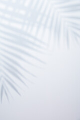 White background with shadow of palm leafs