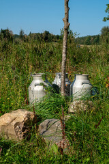 Rustic Milk Cans in a Lush Green Field Landscape