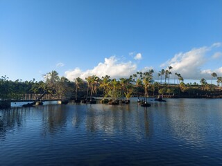 Fototapeta premium ocean, water, sky, clouds, trees, palm tree, peace, relax, haway, havai, america, travel, destination, blue, landscape, nature, outside, view, island