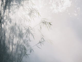 Obraz premium Ethereal Bamboo Shadows: Misty Zen Garden Serenity