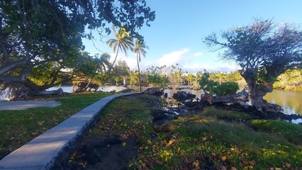 Obraz premium ocean, water, sky, clouds, trees, palm tree, peace, relax, haway, havai, america, travel, destination, blue, landscape, nature, outside, view, island