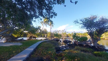 Obraz premium ocean, water, sky, clouds, trees, palm tree, peace, relax, haway, havai, america, travel, destination, blue, landscape, nature, outside, view, island