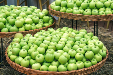 rustic bowl filled with fresh green apples on display outdoors, surrounded by lush green leaves....