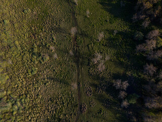 Drone image of a muddy green area surrounded by trees in the daily forest
