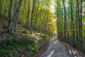 Obraz premium Garganta de los Infiernos Natural Reserve, Extremadura, Spain