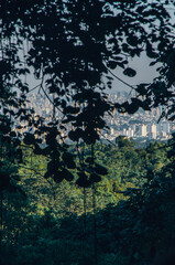 Nature's Haven: The Majestic Beauty of Pedra Grande in São Paulo.