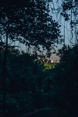 Obraz premium Nature's Haven: The Majestic Beauty of Pedra Grande in São Paulo.