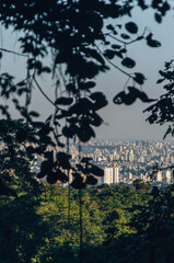 Nature's Haven: The Majestic Beauty of Pedra Grande in S&atilde;o Paulo.