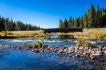 A bridge spans a river with a lush green forest on either side