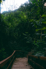 Nature's Haven: The Majestic Beauty of Pedra Grande in São Paulo.