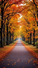 Scenic Autumn Tree-Lined Pathway with Vibrant Fall Foliage, Peaceful Nature Landscape Photograph phone wallpaper