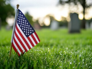 Standing on a dewy lawn in a cemetery, a small American flag symbolizes remembrance, patriotism, and honor.
