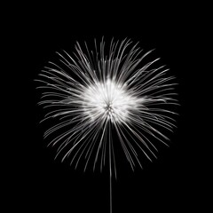 Fototapeta premium Colorful fireworks on black background