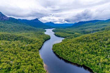 A dramatic photo of the Tasmanian wilderness, featuring dense forests, winding rivers, and misty mountain peaks
