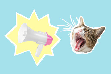 Cat head with white-pink megaphone, collage pop art concept design. Minimal advertising background.