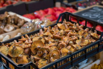 Fresh mushrooms for sale displayed in wooden crates at local farmers market