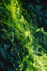 Obraz premium Close-up of green algae growing on the surface of still water
