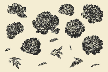 Collection of buds and leaves isolated on simple background. Botanical hand draw set of peony flower elements in flat monochrome style. Vector illustration.